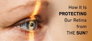 How It Is Protecting Our Retina from the Sun