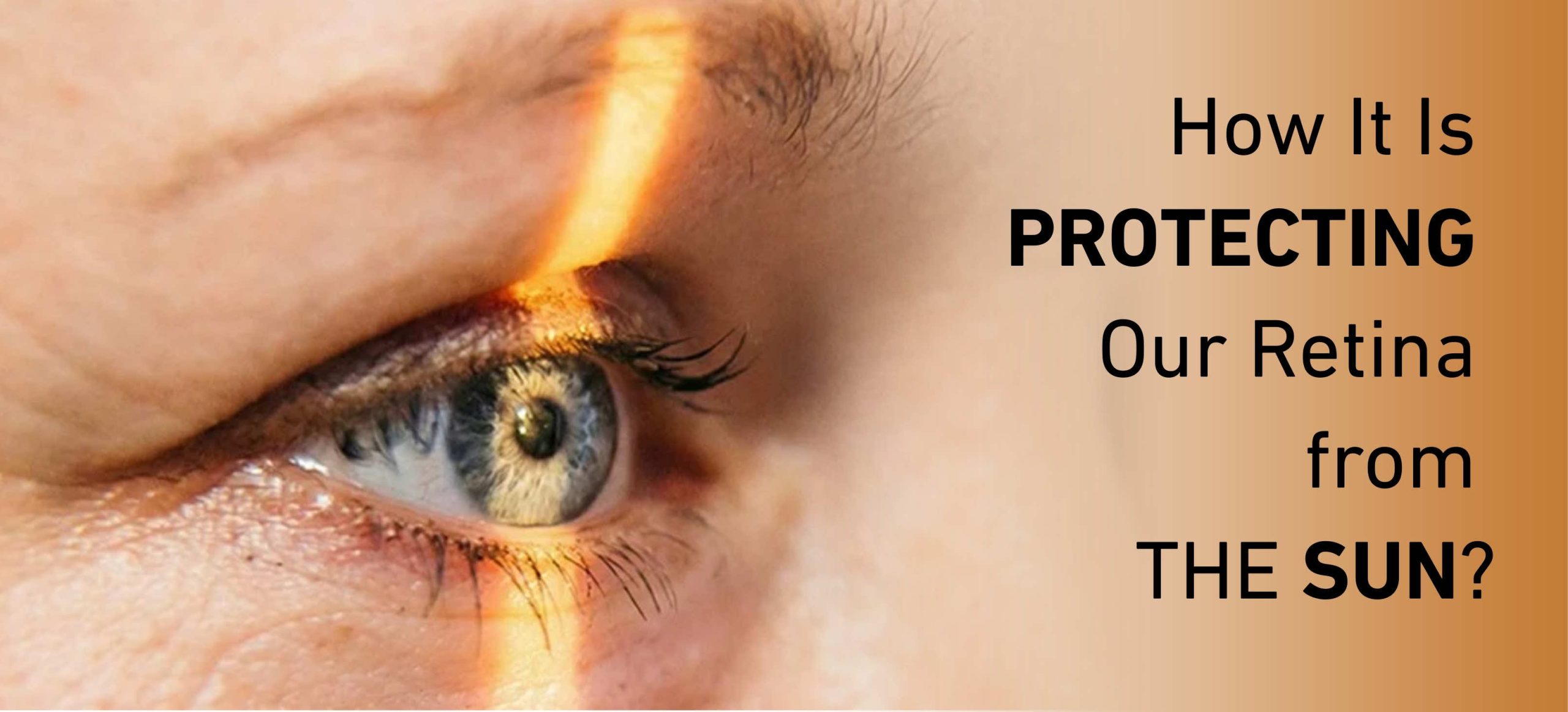 How It Is Protecting Our Retina from the Sun