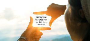 UV Filters in Intraocular Lenses